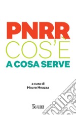 PNRR Cos'è a cosa serve. E-book. Formato PDF ebook