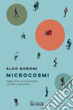 Microcosmi: Saggi brevi su economia, società e territorio. E-book. Formato PDF ebook