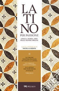 Le prime testimonianze in lingua latina. Le parole della guerra. Il latino nei toponimi d’Italia. Virgilio. E-book. Formato EPUB ebook