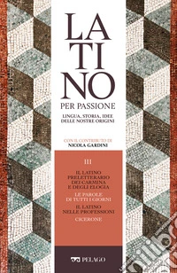 Il latino preletterario dei carmina e degli elogia. Le parole di tutti i giorni. Il latino nelle professioni. Cicerone. E-book. Formato EPUB ebook