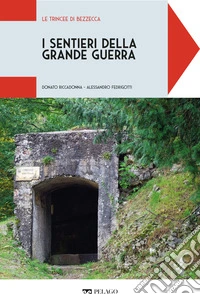 Le trincee di Bezzecca. E-book. Formato EPUB ebook