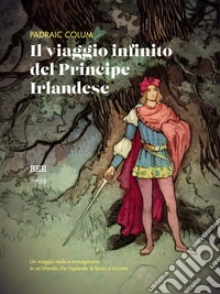Il viaggio infinito del Principe Irlandese. E-book. Formato EPUB ebook