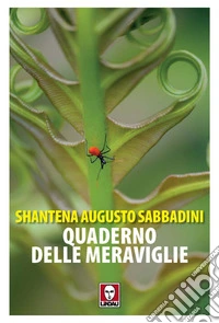 Quaderno delle meraviglie. E-book. Formato EPUB ebook