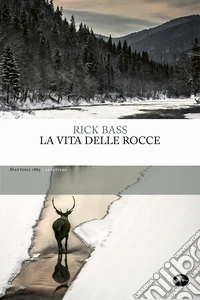La vita delle rocce. E-book. Formato EPUB ebook