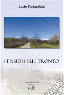 Pensieri sul Tronto. E-book. Formato EPUB ebook di Lucio Postacchini