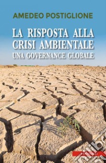 La risposta alla crisi ambientale: Una governance globale. E-book. Formato PDF ebook di Amedeo Postiglione