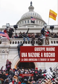 Una nazione a rischio: La crisi americana e l'eredità di Trump. E-book. Formato EPUB ebook