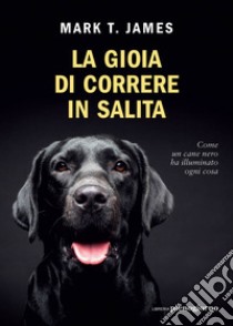 La gioia di correre in salita. E-book. Formato EPUB ebook di Mark T. James