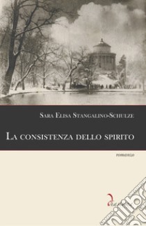 La consistenza dello spiritoromanzo. E-book. Formato EPUB ebook di Sara Elisa Stangalino-Schulze