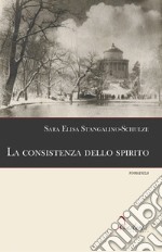 La consistenza dello spiritoromanzo. E-book. Formato EPUB