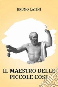 Il Maestro delle Piccole Cose. E-book. Formato EPUB ebook