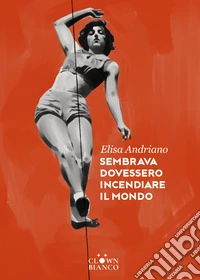 Sembrava dovessero incendiare il mondo. E-book. Formato EPUB ebook