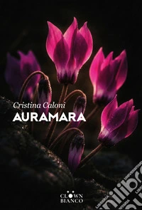 Auramara: Leila guardava le stelle. E-book. Formato EPUB ebook