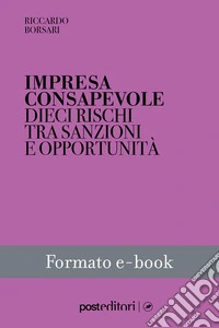 Impresa consapevoleDieci rischi tra sanzioni e opportunità. E-book. Formato EPUB ebook
