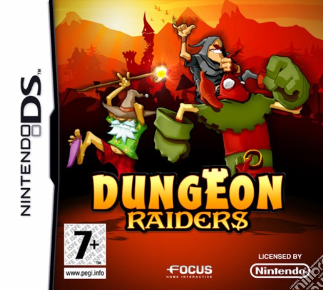 Dungeon Raiders videogame di NDS