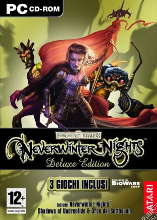 Neverwinter Night Deluxe videogame di PC
