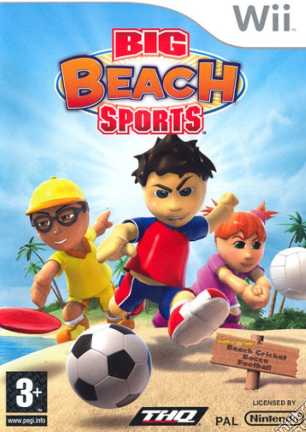 Big Beach Sport videogame di WII