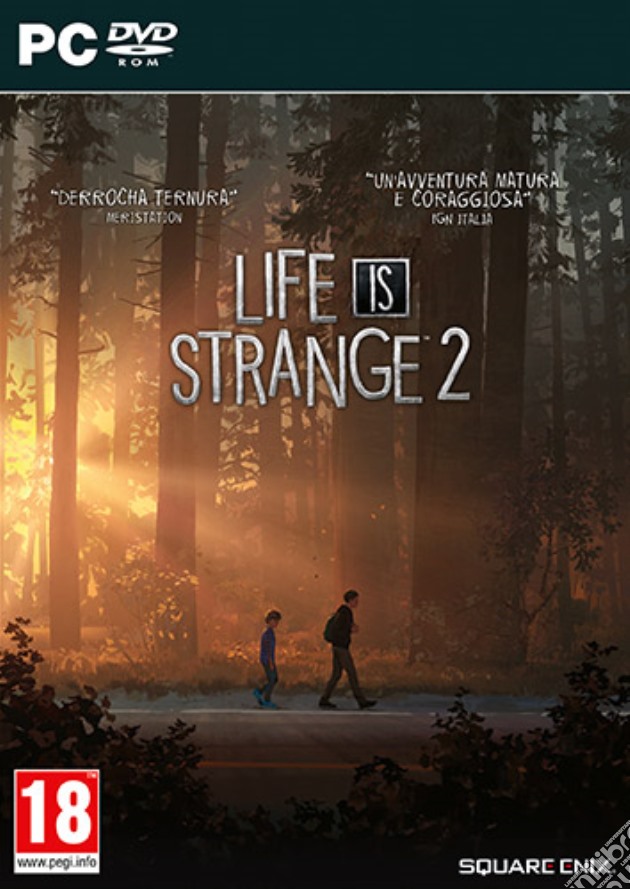 Life is Strange 2 videogame di PC