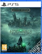 Hogwarts Legacy Deluxe Edition game acc