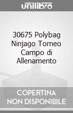 30675 Polybag Ninjago Torneo Campo di Allenamento videogame di LENJ