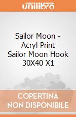 Sailor Moon - Acryl Print Sailor Moon Hook 30X40 X1 giochi