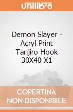 Demon Slayer - Acryl Print Tanjiro Hook 30X40 X1 giochi