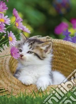 Ravensburger - Puzzle 2 x 500 Pz - Gattini giochi