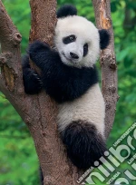 Ravensburger - Puzzle 2 x 500 Pz - Panda E Koala giochi