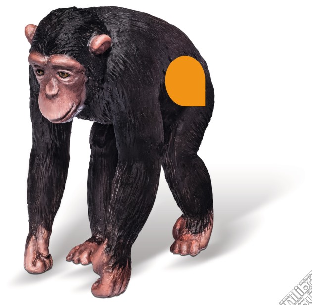 Tiptoi - Figurine Animali - Medium - Scimpanzé gioco di Ravensburger
