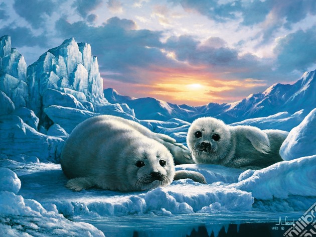 Cuccioli di foca puzzle