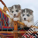 Ravensburger 15230 - Puzzle 500 Pz Quadrati - Cuccioli Di Husky puzzle di Ravensburger
