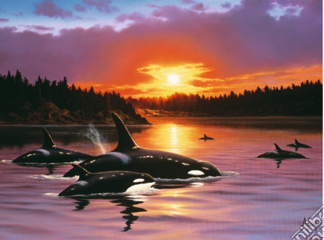 Orche al tramonto puzzle