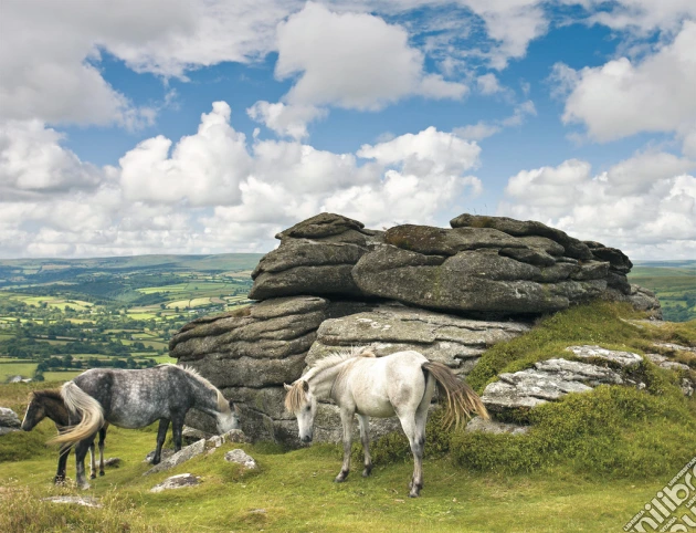 Cavalli nel dartmoor nat. park puzzle di RAVENSBURGER