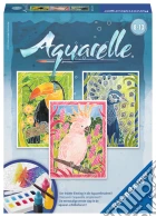 Aquarelle - serie midi - uccelli esotici giochi