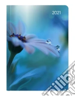 Agenda Settimanale 12X17 Cm Ladytimer Midi Waterdrops 2021 Agenda Settimanale 12X17 Cm Ladytimer Midi Waterdrops 2021 giochi