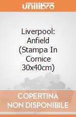 Liverpool: Anfield (Stampa In Cornice 30x40cm) gioco