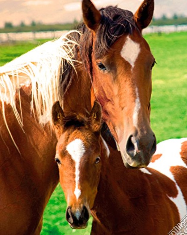 Horses - Mare & Foal (Poster Mini 40x50 Cm) gioco