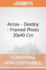 Arrow - Destiny - Framed Photo 30x40 Cm gioco