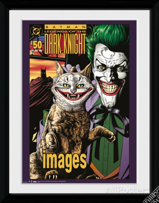 Batman Comic - Joker Cat - Framed Photo 30x40 Cm gioco