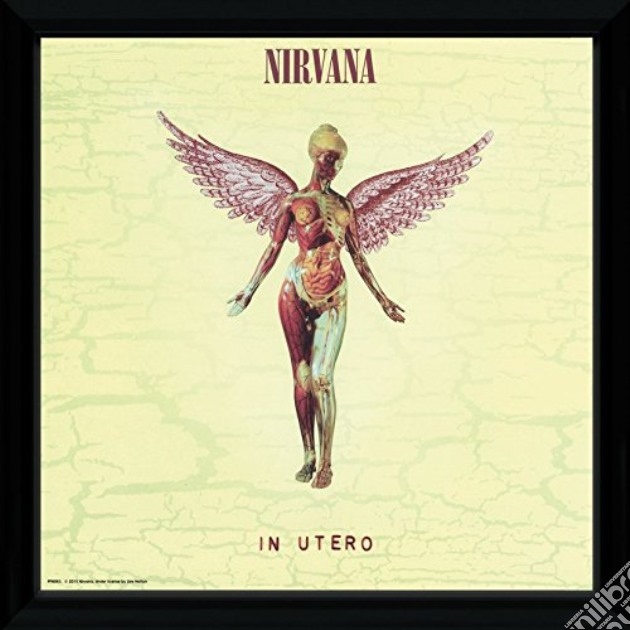 Nirvana - In Utero (Foto In Cornice 30x30 Cm) gioco