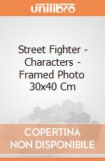 Street Fighter - Characters - Framed Photo 30x40 Cm gioco