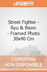 Street Fighter - Ryu & Bison - Framed Photo 30x40 Cm gioco