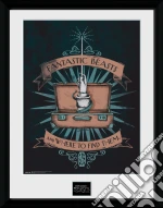 Fantastic Beasts: Illustration (Stampa In Cornice 30x40 Cm) giochi