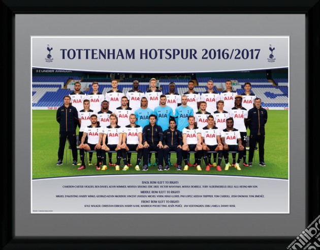 Tottenham Hotspur - Team Photo 16/17 (Stampa In Cornice 30x40 Cm) gioco di GB Eye