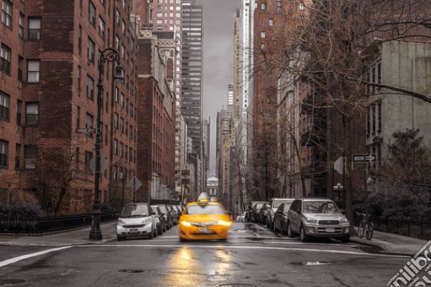 Assaf Frank - New York Taxi (Poster Maxi 61x91,5 Cm) gioco di GB Eye
