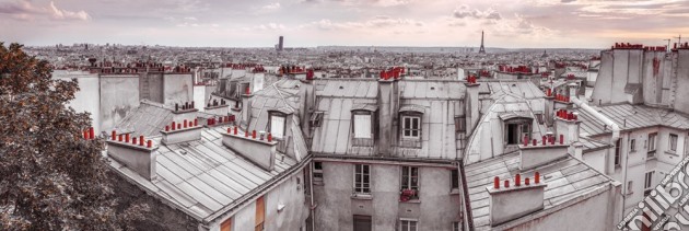 Assaf Frank - Paris Roof Tops (Poster Da Porta 53x158 Cm) gioco di GB Eye