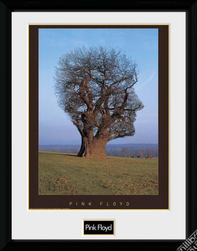 Pink Floyd - Tree (Stampa In Cornice) gioco di GB Eye