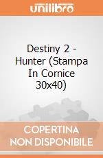 Destiny 2 - Hunter (Stampa In Cornice 30x40) gioco