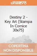 Destiny 2 - Key Art (Stampa In Cornice 30x75) gioco
