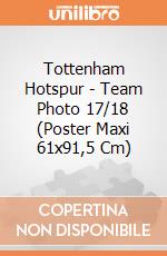 Tottenham Hotspur - Team Photo 17/18 (Poster Maxi 61x91,5 Cm) gioco
